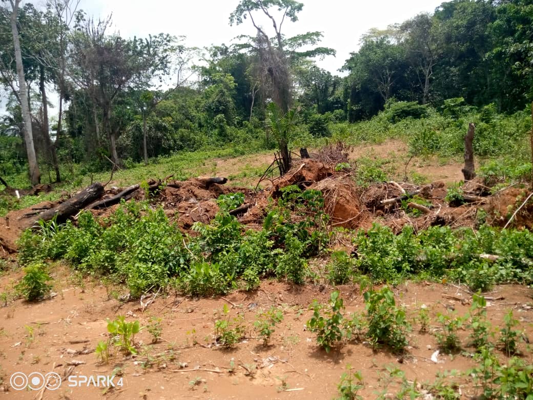 Nkawkaw Ampehkrom Residents to Demonstrate Against Atibiehene