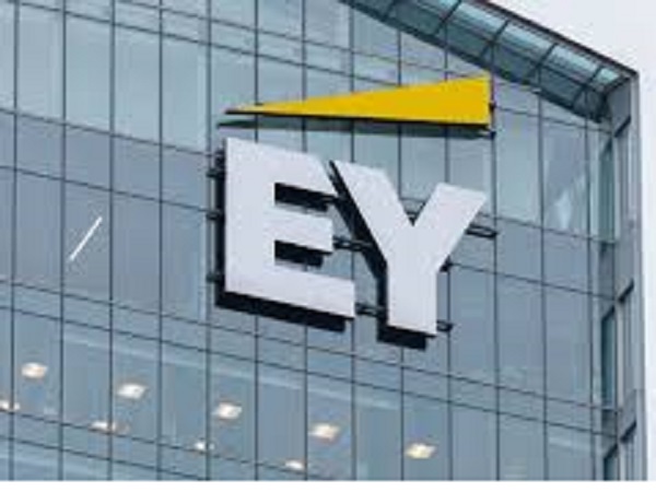 Success of 2026 Budget hinges on effective implementation of expenditure controls, others – EY Boss